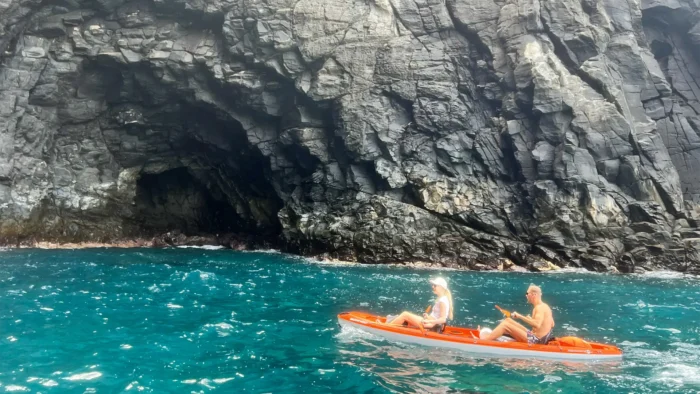 Sunwhere - What to do in Tenerfe - Kayaking Among Turtles and Dolphins: A Family Adventure on the Ocean