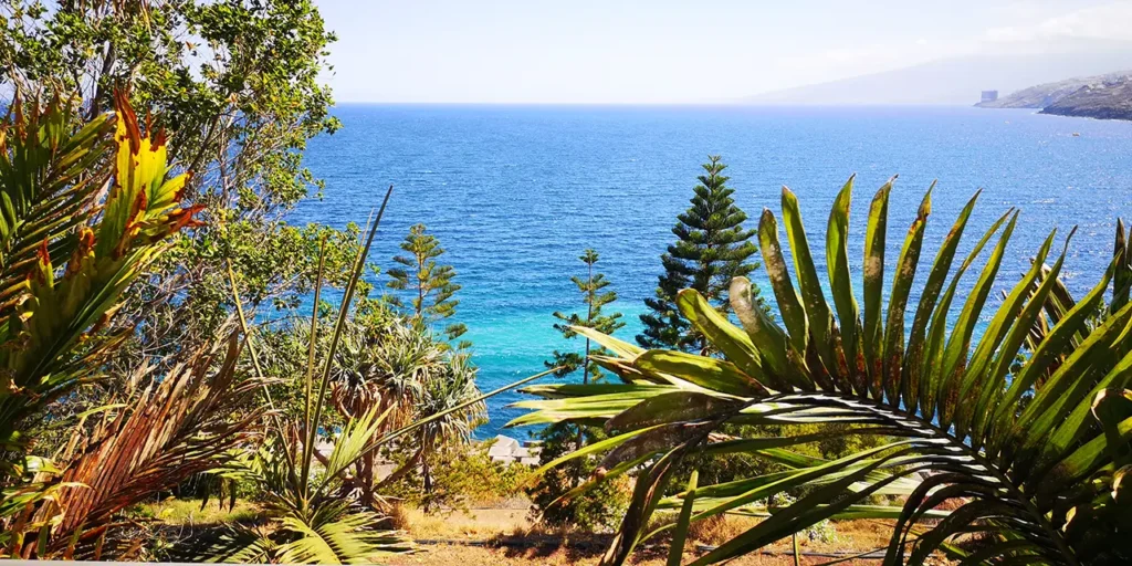 Sunwhere Tenerife - What to Do in Tenerife - Palmetum - Santa Cruz De Tenerife