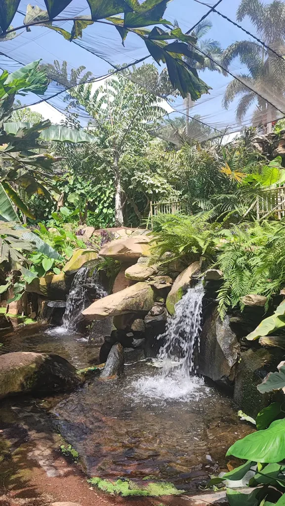 Sunwhere Tenerife - What to Do in Tenerife - Palmetum - Santa Cruz De Tenerife