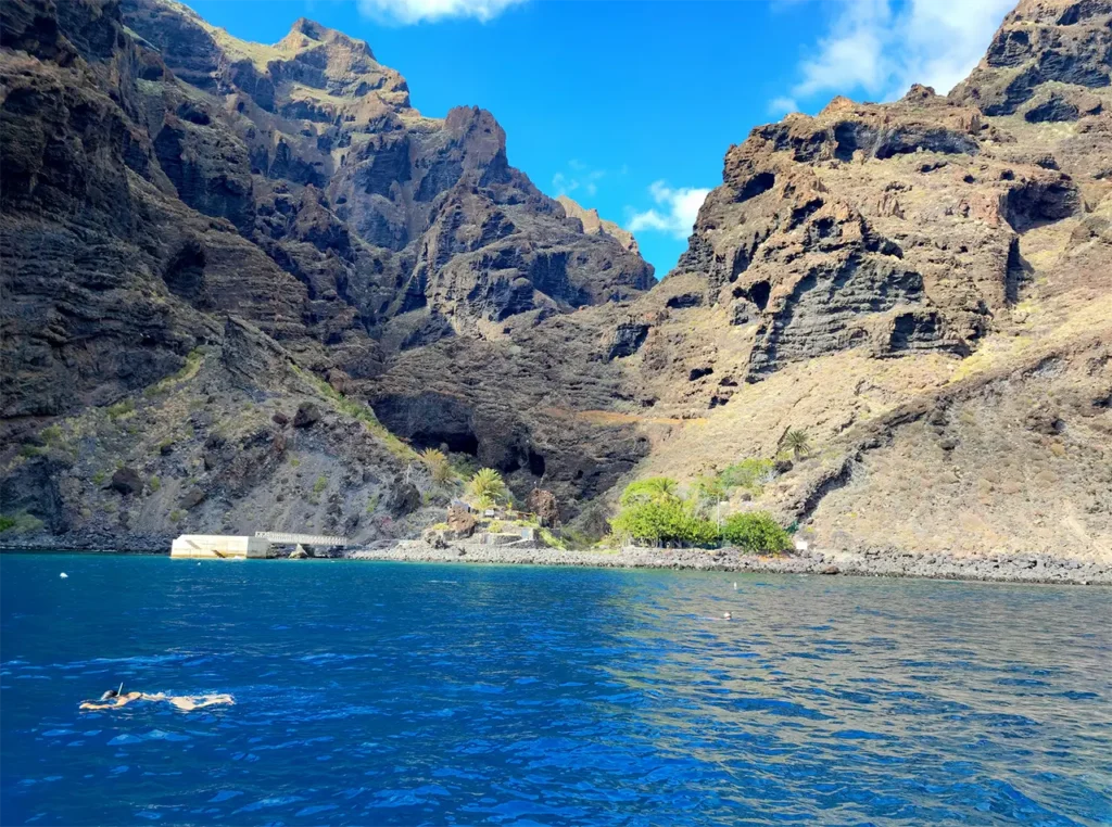 Sunwhere Tenerife - What to do in Tenerife - Dolphin and Whale Watching in Tenerife – A Truly Wild Experience