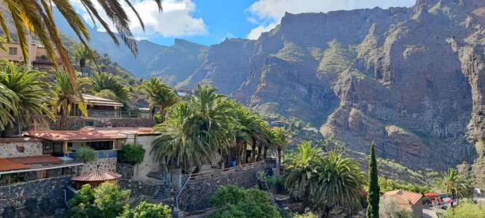 Sunwhere Tenerife - What to do in Tenerife - Masca